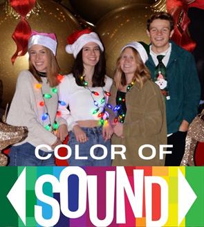 Students Perform in Color of Sound Band