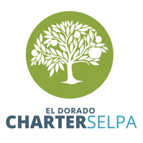 OCSA Recognized as a Charter School of Excellence in Special Education