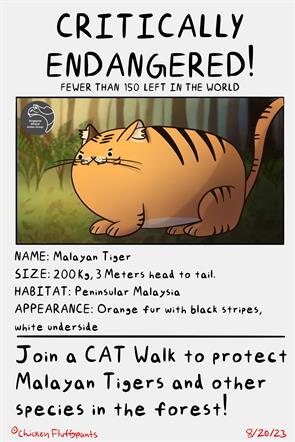 Lauren Gee was granted a summer internship with the Singapore Wildcat Action Group as an illustrator